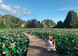 Ninh Bình: Đậm tình lại thơm Sen