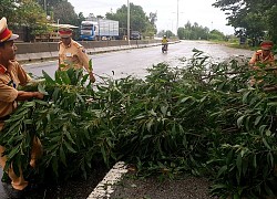 Quảng Nam nghiêm cấm tàu thuyền ra khơi để phòng chống bão