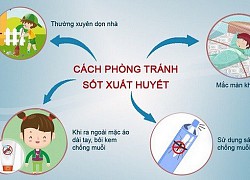 Sốt xuất huyết có xu hướng gia tăng, bộ Y tế khuyến cáo biện pháp phòng bệnh