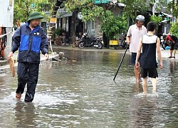 Thích thú hình ảnh người Đà Nẵng mang rổ ra đường bắt cá sau bão