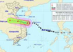 Tin bão khẩn cấp, cơn bão số 5