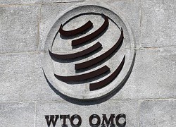 Trung Quốc nói phán quyết WTO chứng minh Mỹ vi phạm quy tắc