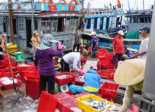 TT-Huế: Lên phương án chi tiết, chủ động ứng phó bão số 5