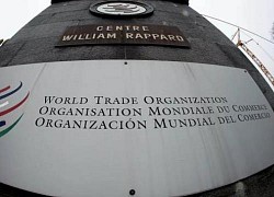 WTO: Mỹ vi phạm quy tắc quốc tế khi đánh thuế Trung Quốc