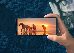 Xperia 5 II ra mắt: Snapdragon 865, màn hình 120Hz, quay 4K 120fps HDR, pin 4000mAh, giá 949 USD