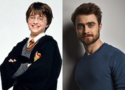 19 năm sau cơn sốt toàn cầu Harry Potter: Người thành sao hạng A, kẻ cống hiến miệt mài để "thoát xác"