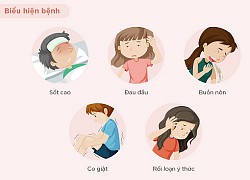 Cách phòng viêm não Nhật Bản