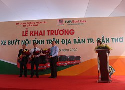 Cần Thơ: Xe khách Phương Trang FUTA BUS LINES đưa vào hoạt động 5 tuyến xe buýt trên địa bàn