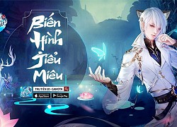 "Cưng muốn xỉu" dàn game thủ Tru Tiên 3D bỗng biến hình tiểu miêu