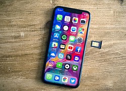 Đây là hai mẫu iPhone tương đồng thiết kế, giá mềm và rất bền