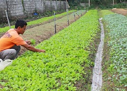 Hà Tĩnh: Bí thư chi bộ 7X tâm huyết xây dựng nông thôn mới