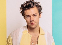 Harry Styles sắp vào vai cảnh sát đồng tính