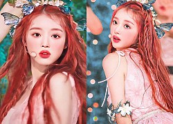 Nàng thơ Kpop mới nổi vì vượt mặt BLACKPINK - Red Velvet gây sốt trên sân khấu solo: Đẹp choáng ngợp, tưởng đâu tiên tử đời thực