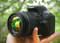 Số lượng máy ảnh bán ra trong 2019: Canon dẫn đầu DSLR, Sony vẫn khẳng định vị thế với Mirrorless