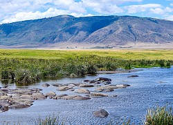 TANZANIA - NÓC NHÀ CHÂU PHI