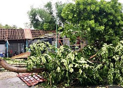 Thêm hai người tử vong liên quan bão số 5 tại Thừa Thiên Huế