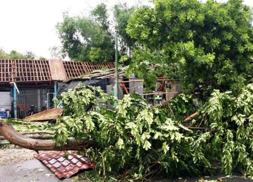 Thêm hai người tử vong liên quan bão số 5 tại Thừa Thiên Huế