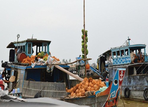 Về An Giang đi chợ nổi