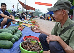 Vì sao loài ốc có bộ râu dài nhiều người phát khiếp, ở đây lại thành đặc sản "tốn rượu", bán đắt hàng?