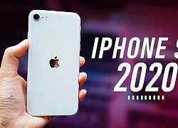 Bỏ ngay iPhone 7 để mua chiếc iPhone vừa rẻ lại mạnh ngang iPhone 11 này