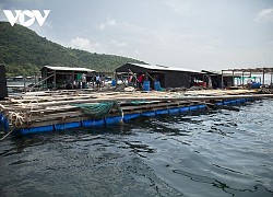 Công tác đăng ký nuôi trồng thủy sản vùng ĐBSCL triển khai còn chậm