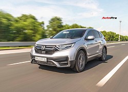 Đánh giá Honda CR-V 2020: Vẫn còn nhược điểm nhưng thêm ưu thế để giành lại ngôi vua doanh số từ Mazda CX-5