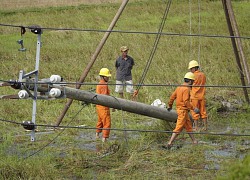 EVNCPC lý giải cột điện ngã đổ sau bão số 5