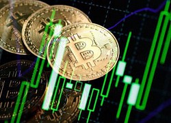 Giá bitcoin hôm nay 22/9: Polkadot giảm nhiều nhất trong top 10