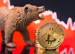 Giá Bitcoin hôm nay 22/9: Toàn thị trường 'nhuốm máu', Bitcoin giảm sập sàn