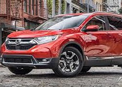 Honda CR-V có thêm màu mới