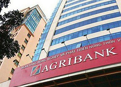 Khẩn trương tăng vốn cho Agribank, BIDV, Vietcombank, VietinBank