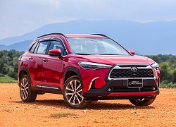 Loạt tân binh có giúp Toyota trở lại?