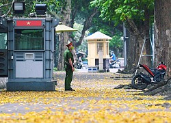 Mùa thu trên những con phố ở Hà Nội