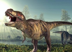 Sẽ ra sao nếu khủng long T-Rex vẫn tồn tại