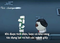 Vì sao lược nhựa hút được giấy