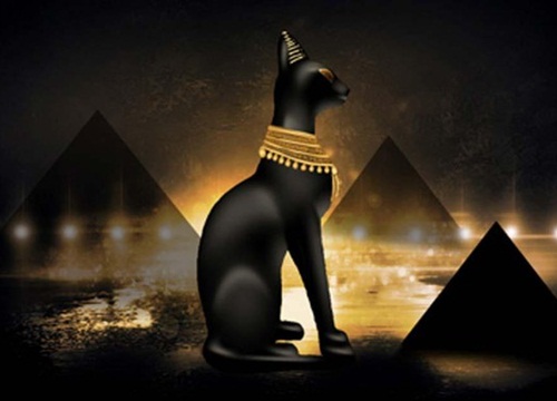 Mèo Ai Cập cổ đại: Hãy đón xem bức ảnh độc đáo về một trong những biểu tượng huyền bí nhất của Ai Cập cổ đại - mèo Ai Cập. Những hình ảnh về chú mèo với đôi mắt to tròn, vẻ mặt hiền lành và hình dáng thần thánh sẽ đưa bạn vào thế giới đầy bí ẩn của người Ai Cập xưa.