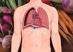 6 thực phẩm giúp phổi khỏe mạnh