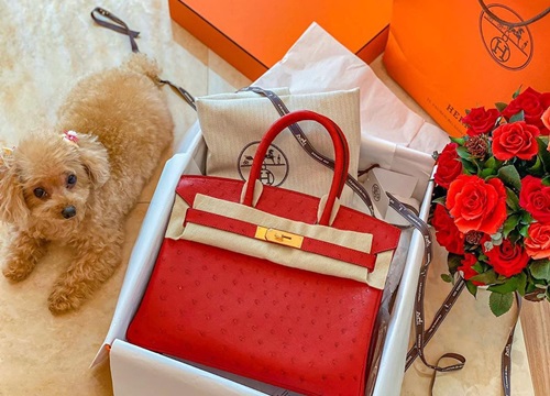 Geisha hàng đầu Nhật Bản có cả tủ túi Hermès, Chanel
