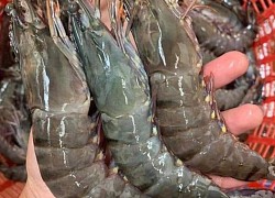 Hải sản hạng sang giảm giá sốc vẫn vắng bóng người mua