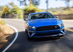 Hơn 38.000 chiếc Ford Mustang 2020 bị triệu hồi vì lỗi chân phanh