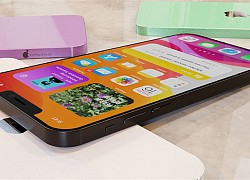 iPhone 12 mini nổi bật nhất Apple tuần này