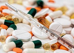 Những thứ đại kỵ với bưởi, ăn cùng lúc sẽ rất độc hại