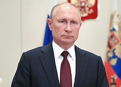 Putin đề nghị hợp tác với Mỹ trước thềm bầu cử