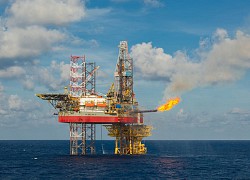 PV Drilling ước lãi 100 tỷ đồng sau 9 tháng đầu năm, gấp đôi cùng kỳ 2019
