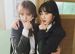 Sự giả tạo đằng sau hình ảnh chị em thân thiết ở Kpop