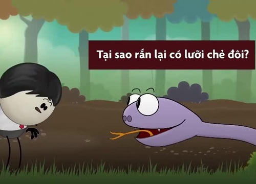 Tại sao lưỡi rắn lại chẻ đôi
