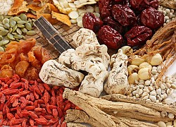 [Thuốc&Dinh dưỡng] Đông y điều trị viêm loét dạ dày - tá tràng