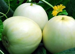 Tuyệt chiêu chọn dưa lê ngon, ngọt lịm ai cũng mê