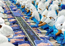 Vĩnh Hoàn (VHC) tạm ứng cổ tức năm 2020 tỷ lệ 20%
