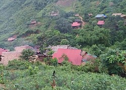 Vụ con dâu và mẹ chồng thương vong: Nghi phạm ôm súng bỏ trốn vào rừng đã tử vong